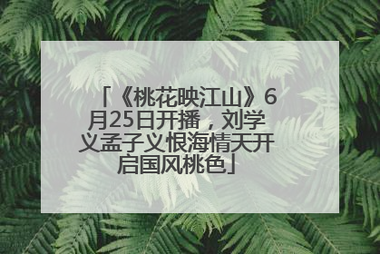 《桃花映江山》6月25日开播，刘学义孟子义恨海情天开启国风桃色