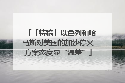 「特稿」以色列和哈马斯对美国的加沙停火方案态度显“温差”