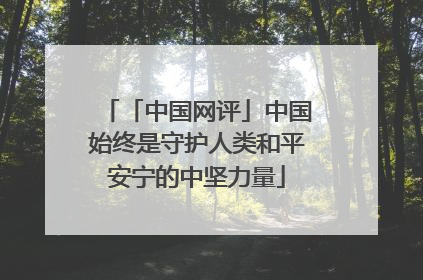 「中国网评」中国始终是守护人类和平安宁的中坚力量