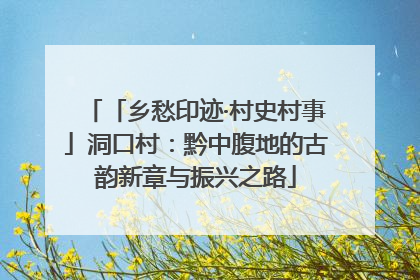 「乡愁印迹·村史村事」洞口村：黔中腹地的古韵新章与振兴之路