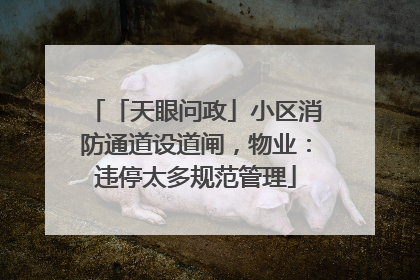 「天眼问政」小区消防通道设道闸，物业：违停太多规范管理