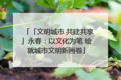 「文明城市 共建共享」永春：以文化为笔 绘就城市文明新画卷