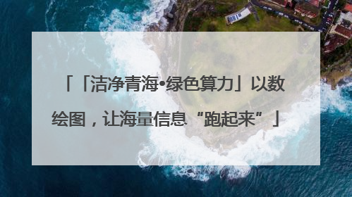 「洁净青海•绿色算力」以数绘图，让海量信息“跑起来”