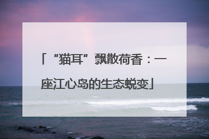 “猫耳”飘散荷香：一座江心岛的生态蜕变