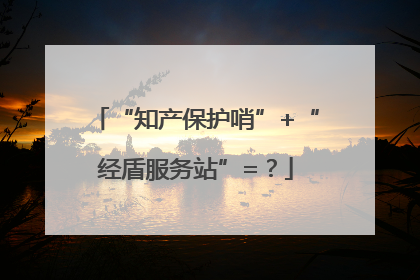 “知产保护哨”+“经盾服务站”=？