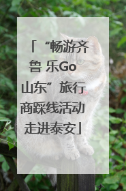 “畅游齐鲁 乐Go山东”旅行商踩线活动走进泰安