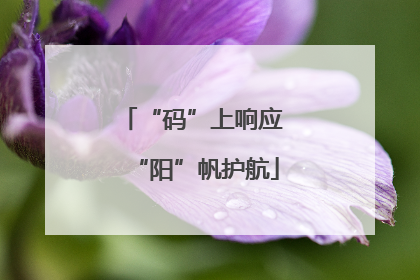 “码”上响应 “阳”帆护航