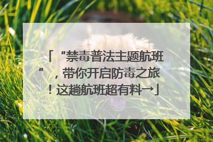 “禁毒普法主题航班”，带你开启防毒之旅！这趟航班超有料→