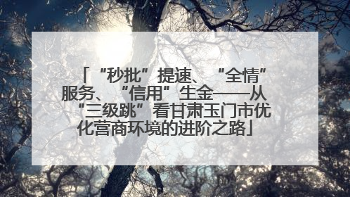“秒批”提速、“全情”服务、“信用”生金——从“三级跳”看甘肃玉门市优化营商环境的进阶之路