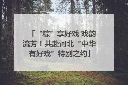 “粽”享好戏 戏韵流芳！共赴河北“中华有好戏”特别之约