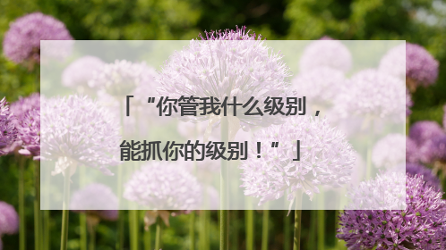 “你管我什么级别，能抓你的级别！”