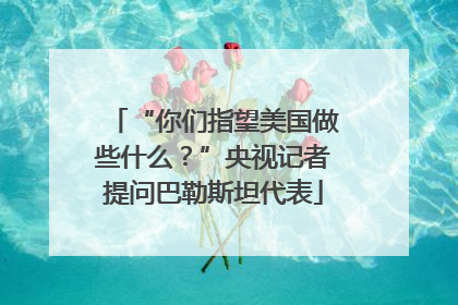 “你们指望美国做些什么？”央视记者提问巴勒斯坦代表