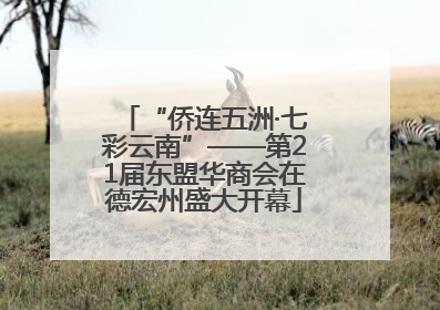 “侨连五洲·七彩云南”——第21届东盟华商会在德宏州盛大开幕