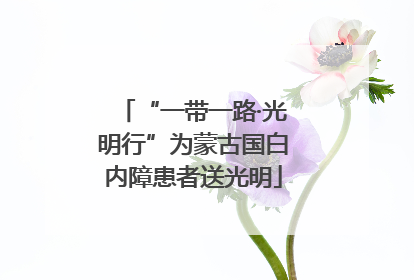 “一带一路·光明行”为蒙古国白内障患者送光明