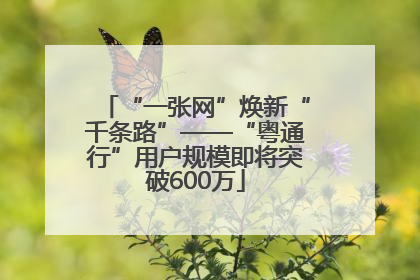 “一张网”焕新“千条路”——“粤通行”用户规模即将突破600万