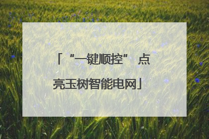 “一键顺控” 点亮玉树智能电网