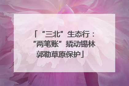 “三北”生态行：“两笔账”撬动锡林郭勒草原保护