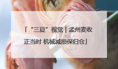 “三夏”视觉｜孟州麦收正当时 机械减损保归仓