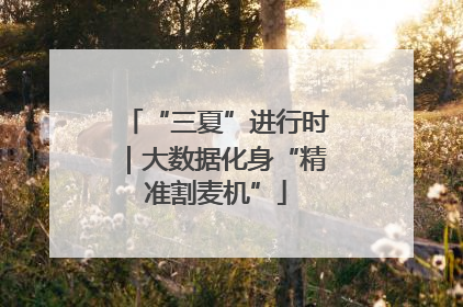 “三夏”进行时｜大数据化身“精准割麦机”