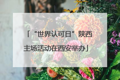 “世界认可日”陕西主场活动在西安举办