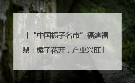 “中国栀子名市”福建福鼎：栀子花开，产业兴旺