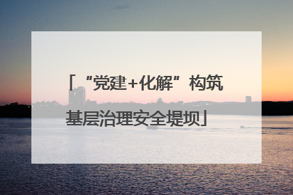 “党建+化解”构筑基层治理安全堤坝