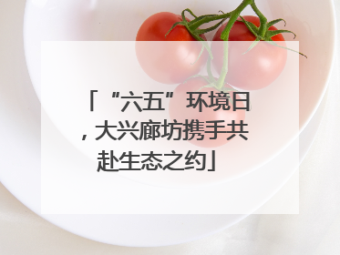 “六五”环境日，大兴廊坊携手共赴生态之约