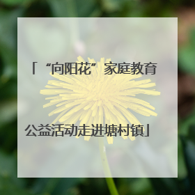 “向阳花”家庭教育公益活动走进塘村镇