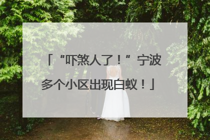 “吓煞人了！”宁波多个小区出现白蚁！
