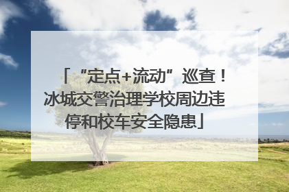 “定点+流动”巡查！冰城交警治理学校周边违停和校车安全隐患