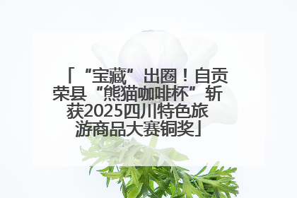 “宝藏”出圈！自贡荣县“熊猫咖啡杯”斩获2025四川特色旅游商品大赛铜奖