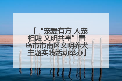“宠爱有方 人宠相融 文明共享”青岛市市南区文明养犬主题实践活动举办