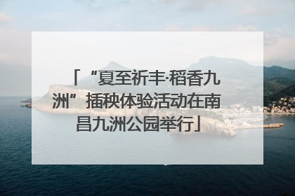 “夏至祈丰·稻香九洲”插秧体验活动在南昌九洲公园举行