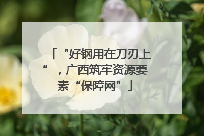 “好钢用在刀刃上”，广西筑牢资源要素“保障网”