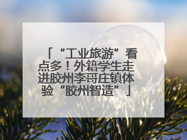 “工业旅游”看点多！外籍学生走进胶州李哥庄镇体验“胶州智造”