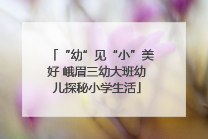“幼”见“小”美好 峨眉三幼大班幼儿探秘小学生活
