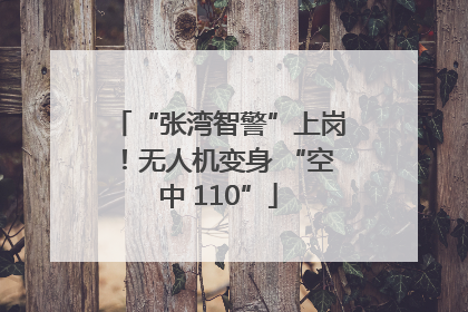 “张湾智警”上岗！无人机变身 “空中 110”