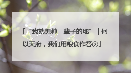 “我就想种一辈子的地”｜何以天府，我们用粮食作答②
