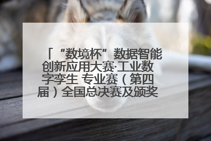 “数境杯”数据智能创新应用大赛·工业数字孪生 专业赛（第四届）全国总决赛及颁奖典礼成功举办