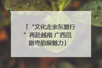 “文化走亲东盟行”再赴越南 广西邕剧粤韵展魅力