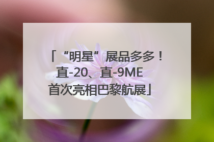 “明星”展品多多！直-20、直-9ME首次亮相巴黎航展