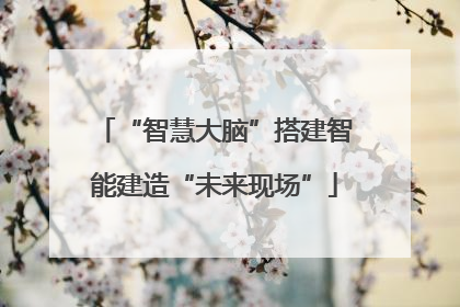 “智慧大脑”搭建智能建造“未来现场”