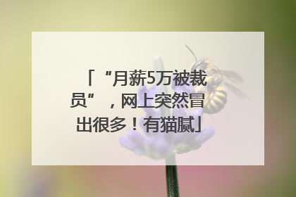 “月薪5万被裁员”，网上突然冒出很多！有猫腻