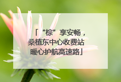 “棕”享安畅，桑植东中心收费站暖心护航高速路