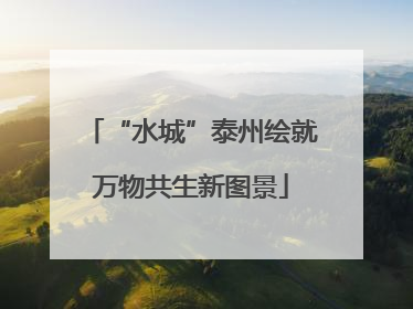 “水城”泰州绘就万物共生新图景