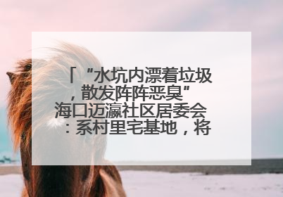 “水坑内漂着垃圾，散发阵阵恶臭” 海口迈瀛社区居委会：系村里宅基地，将派人打捞垃圾