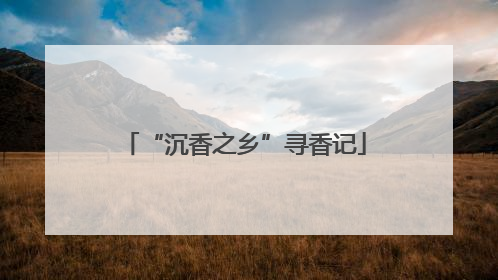 “沉香之乡”寻香记