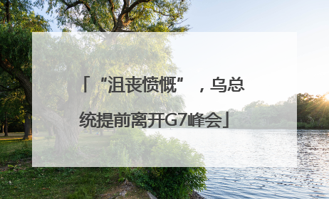 “沮丧愤慨”，乌总统提前离开G7峰会