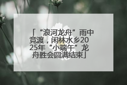 “浪河龙舟”雨中竞渡，闲林水乡2025年“小端午”龙舟胜会圆满结束