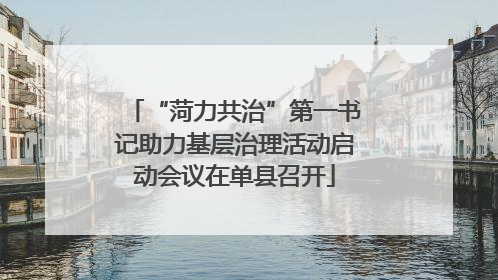 “菏力共治”第一书记助力基层治理活动启动会议在单县召开